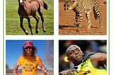 Image Grid to Draw Analogy of Contrast: Tortoise to Hare, Horse to Cheetah, Pope to Bolt, Berkshire Hathaway to Citadel