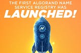 Algorand Name Service v1.0 — Mainnet launch