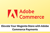 Magento Store Payments