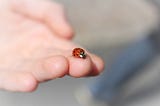 An outstretched hand with a ladybird on the tip of the middle finger.