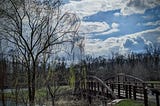 A willow next to an old bridge.