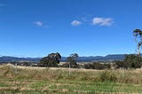 An Antipodean Christmas Story