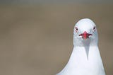 Blog Post: Very grumpy