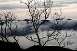 Mount Mitakesan: A Mountain Powerspot in Tokyo’s Outskirts