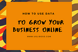 How to use Data to Grow your Business Online