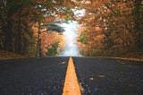 Road in a wooded area