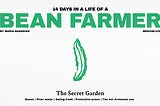 14 Days in a Life of a Bean Farmer: The Secret Garden