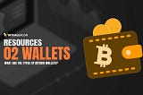 Types of Bitcoin Wallets, What should you choose?