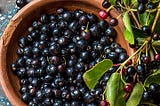 “Natürliche Unterstützung für gesunde Blutzuckerspiegel: Erfahren Sie mehr über Glucoberry!”