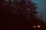 Trees by the road early in the morning, standing over a small house with the porch light on.