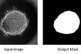 Evaluating Semantic and Instance Segmentations