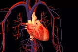 Predicting Heart Failure Survival with Machine Learning Models — Part I