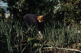Weeding the Soil Cultivates Growth