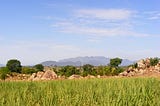 Farmland with Uva Hills in the Background