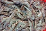 Advancing the sustainability of farmed shrimp