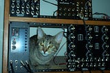 Image of a cat between recording studio equipment