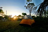 A Night Alone in Big Cypress