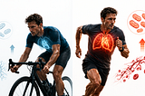 Is Exercise “Trainability” a Fixed Trait?