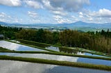 Terrace rice fields reflecting the sky.