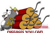 Not So Cute and Cuddly: Diseases You Can Contract from Rodents