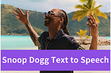 Unlock the Star Power: Snoop Dogg Text to Speech Technology