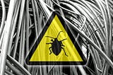 Bugs and warranty in software development