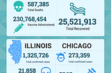 The Fall and Recovery of Chicago Tourism during COVID-19