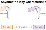 Public key Algorithms in Cryptography.