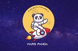 Welcome to Mars Panda!