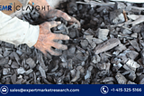 Biochar Market: Trends, Growth, and Future Outlook