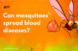 Can mosquitoes spread blood diseases?