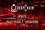 DropChain Pilot Phase 1: Execution