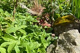 Tiny Dwellings Hidden In The Undergrowth