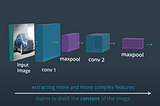 A Complete Overview of Convolutional Neural Networks