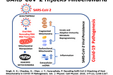 Why You May Want to Supplement With Melatonin During SARS-CoV-2 Infections