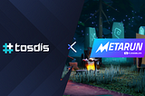 TosDis X Metarun IDO — Details