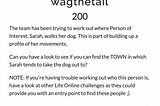 CyberSoc CTF — Life Online — OSINT — wagthetail