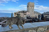 Journey to Mount Athos: A Pilgrimage of Faith, Adventure, and Unexpected Discoveries