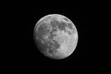 122/365 — Moon