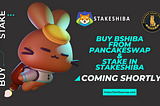 bSHIBA Now Available On PancakeSwap