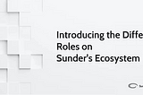 Introducing the Different Roles on Sunder’s Ecosystem