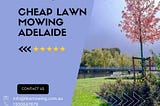Gardening Services Adelaide — What You Need To Know About The Best Garden Maintenance Company.