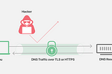 DNS and Privacy