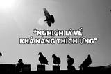Giải quyết ‘nghịch lý về khả năng thích ứng’ trong dài hạn.