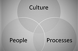 Venn diagram showing the overlap of culture, people and processes