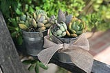 Rustic Metal Succulent Pot DIY