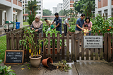 Edibles, Red Tape, and Reality: The Unfiltered Story of Singapore’s Community Gardens