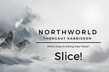 [NorthWorld] Thorgaut Kabbisson: Chapter 6 - Slice!