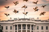 A Tale of Government Most Fowl (1)