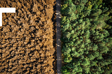 The Urgent Link Between Climate Change and Digital Health: A Call to Action